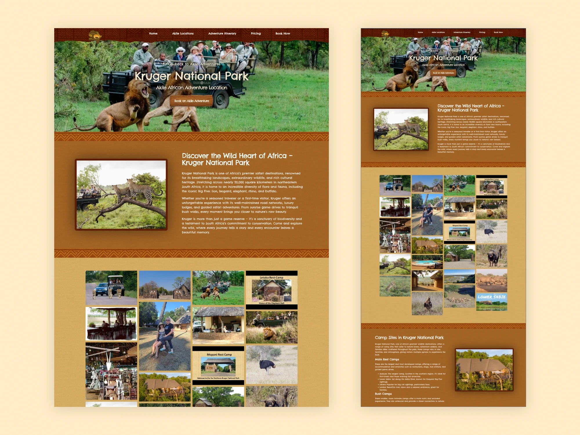 Akile African Adventures website design