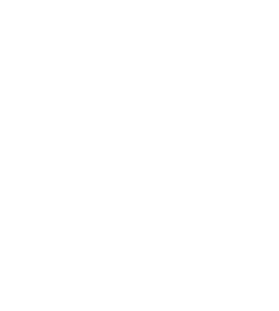 Rocket icon for Xeon Creative website package